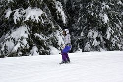 Alta Val Badia (146), Claudia R (45), Sci Alpino (290)